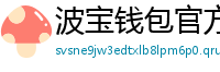 波宝钱包官方下载